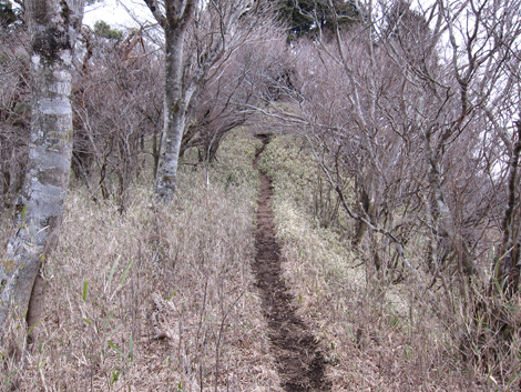 20190214hike (114)